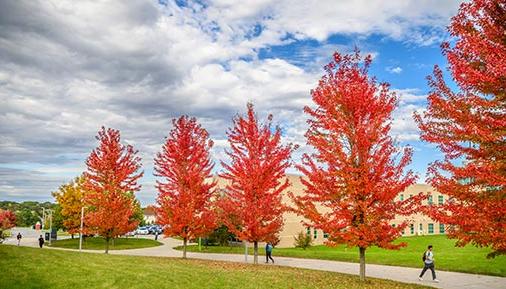 students walking on campus in the fall